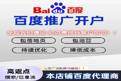 网络推广与竞价优化成功案例